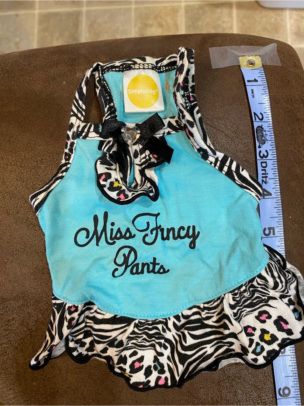 Turquoise "Miss Fincy Pants" Zebra Print Dog Dress